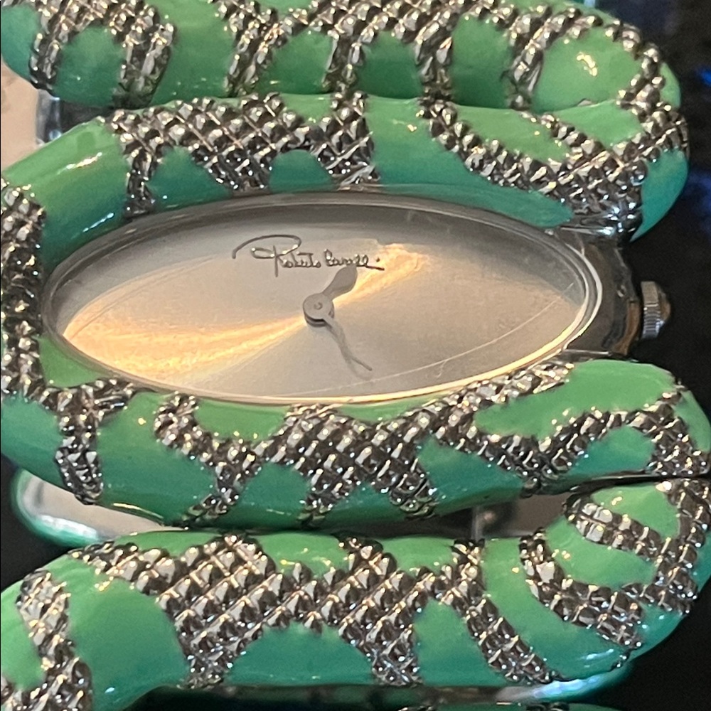 Roberto Cavalli Women’s Watch